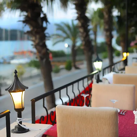 Daffodil Fethiye