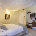 Daffodil 3*