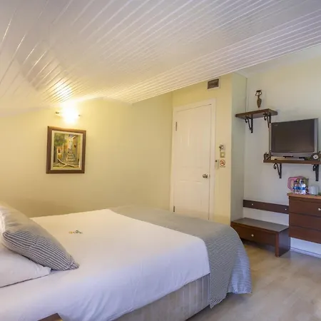 达坲迪尔别墅酒店 3*