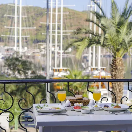 达坲迪尔别墅酒店 费特希耶