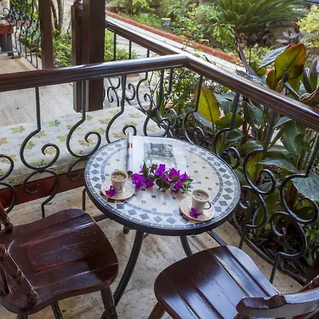 达坲迪尔别墅酒店 3* 费特希耶