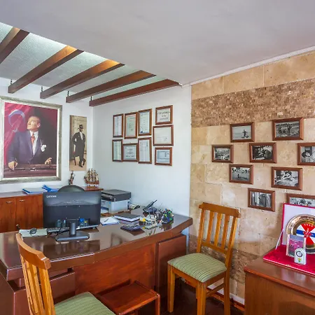 达坲迪尔别墅酒店 3* 费特希耶