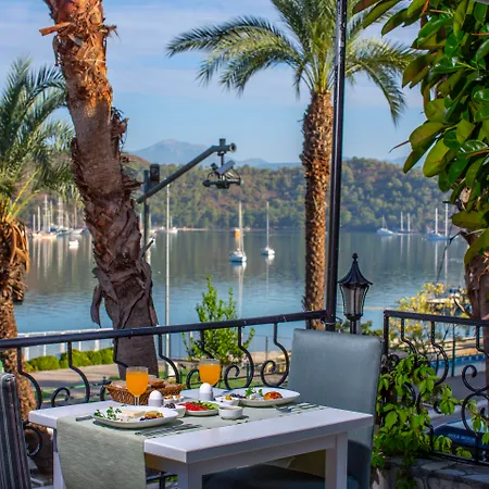 Daffodil 3* Φετιγιέ