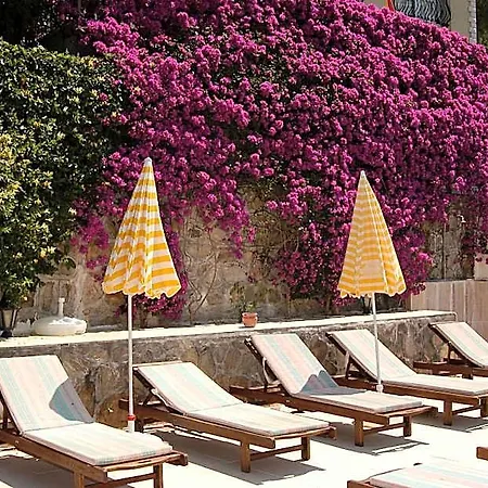 Daffodil 3* Fethiye