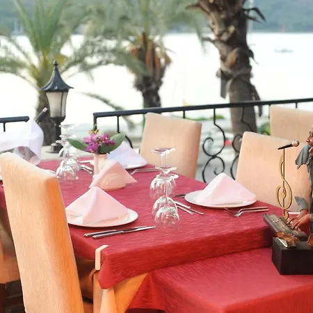 酒店 达坲迪尔别墅酒店