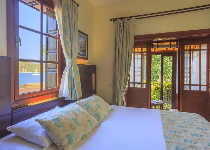 다포딜 3* 페티예