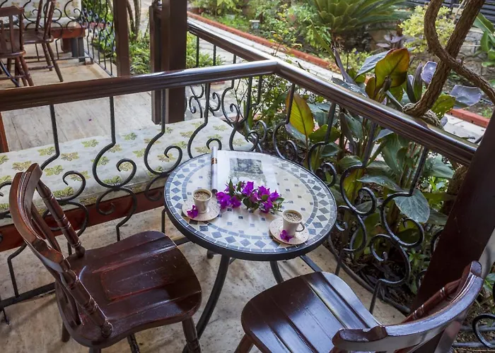 다포딜 3* 페티예