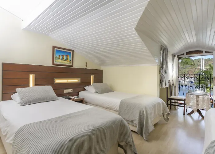 호텔 다포딜 페티예