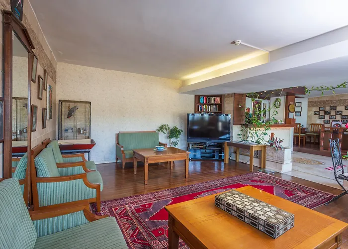 다포딜 3* 페티예