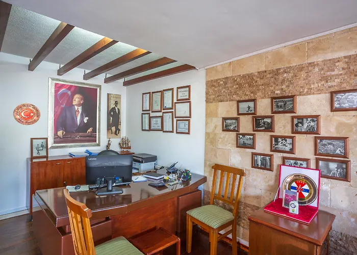 다포딜 3* 페티예