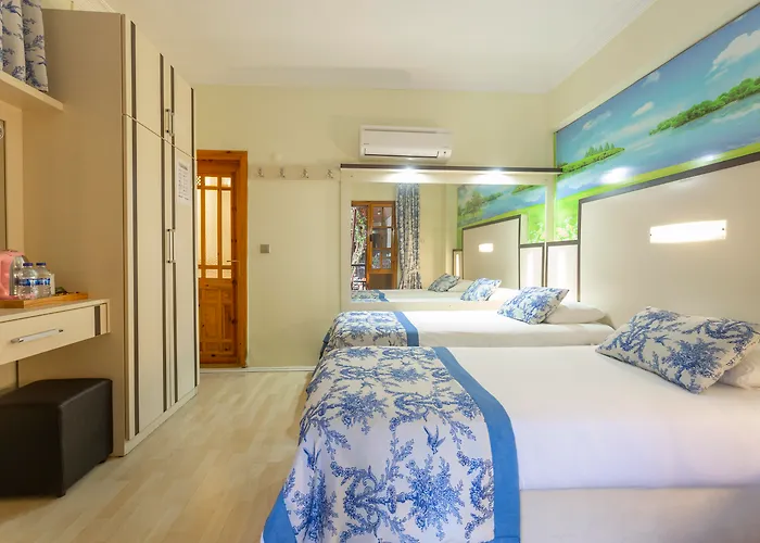 다포딜 3* 페티예