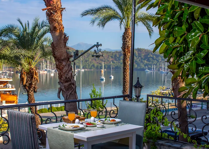 다포딜 3* 페티예