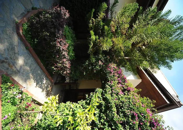 다포딜 3* 페티예