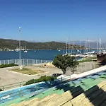 دافوديل فندق