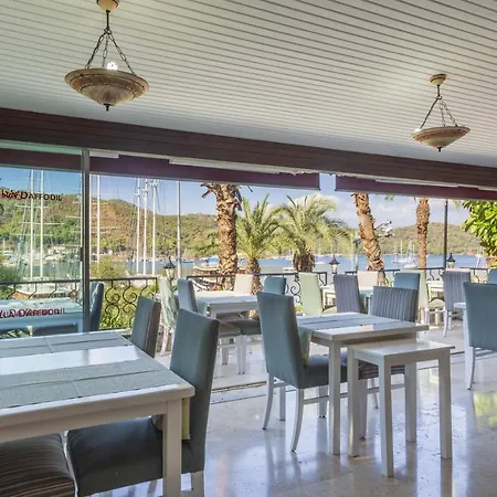 Daffodil Otel 3*
