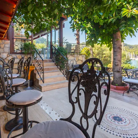 Daffodil Fethiye