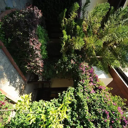 Daffodil 3* Fethiye