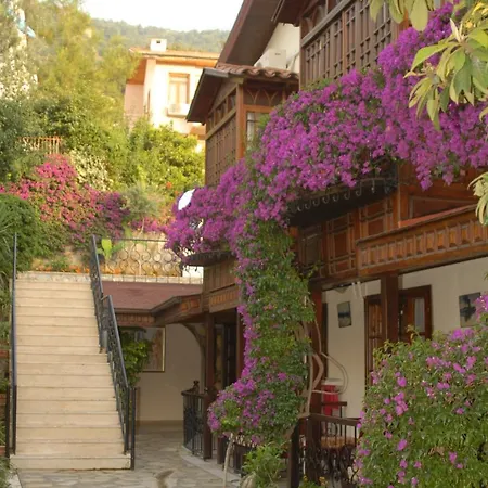 Daffodil Fethiye